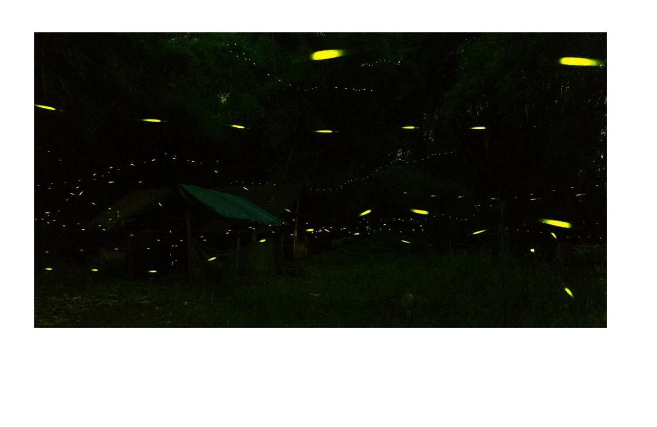 Yangshuo Yunshe Mountain Guesthouse エクステリア 写真